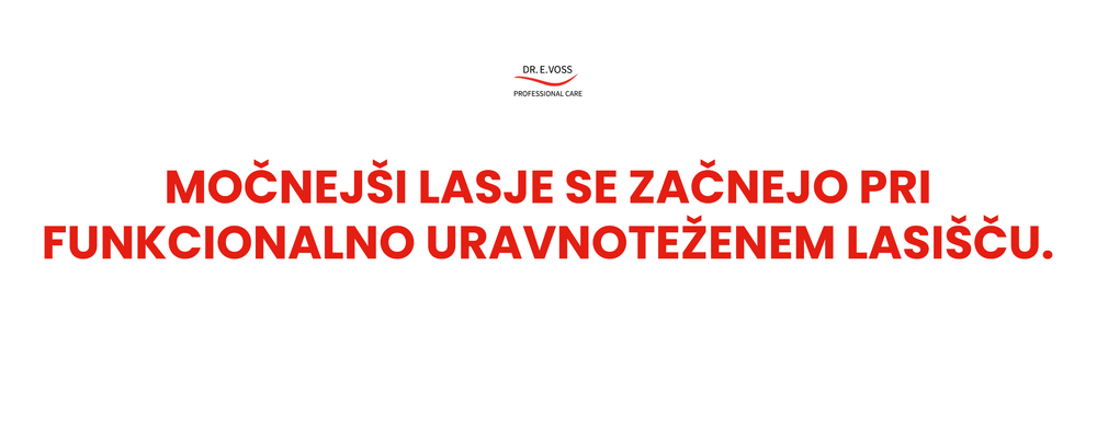 blog header photo