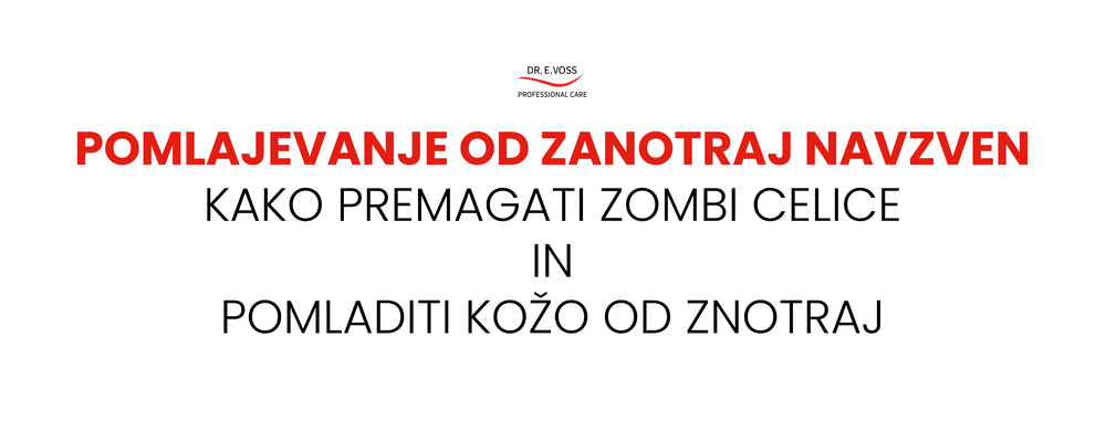 blog header photo