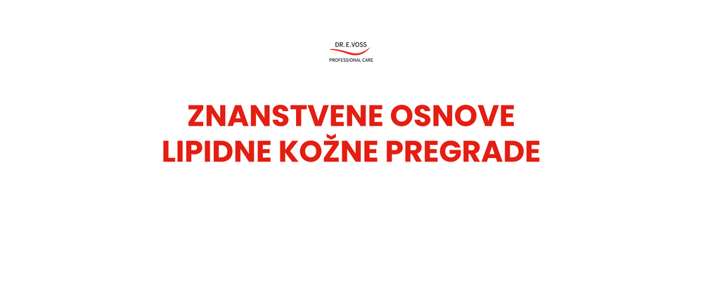blog header photo